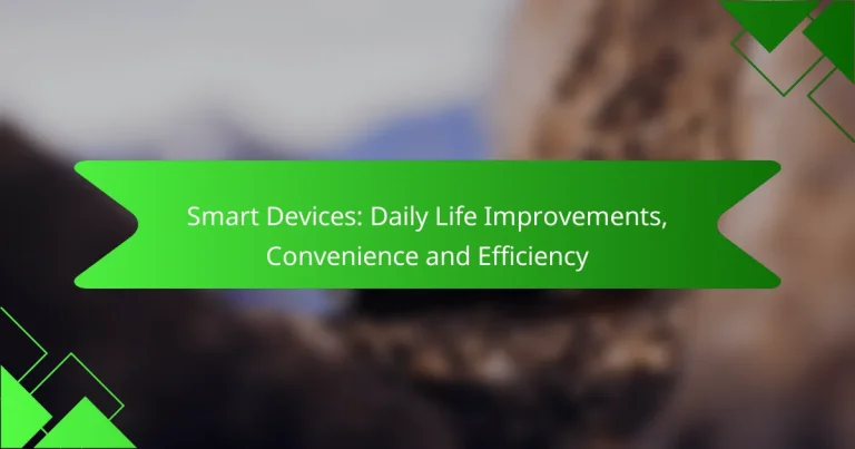 Smart Devices: Daily Life Improvements, Convenience and Efficiency