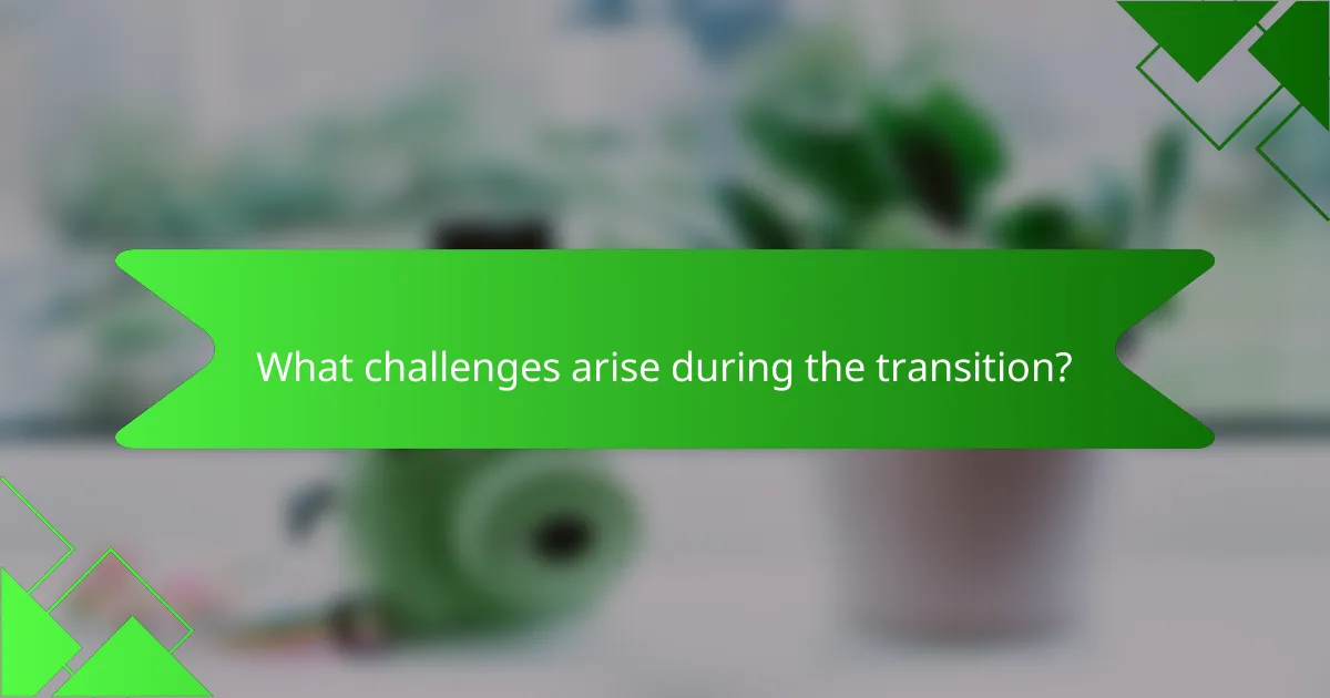 What challenges arise during the transition?
